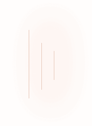 Custom Software Development